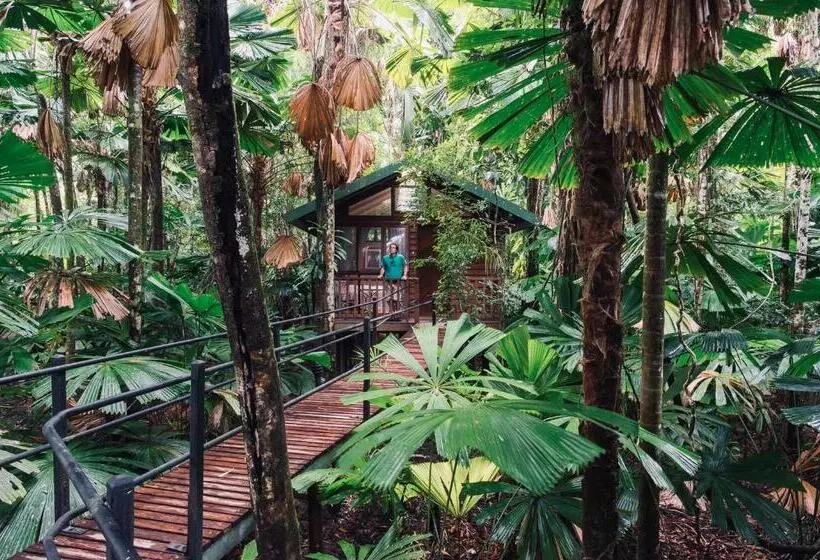 Отель Daintree Wilderness Lodge