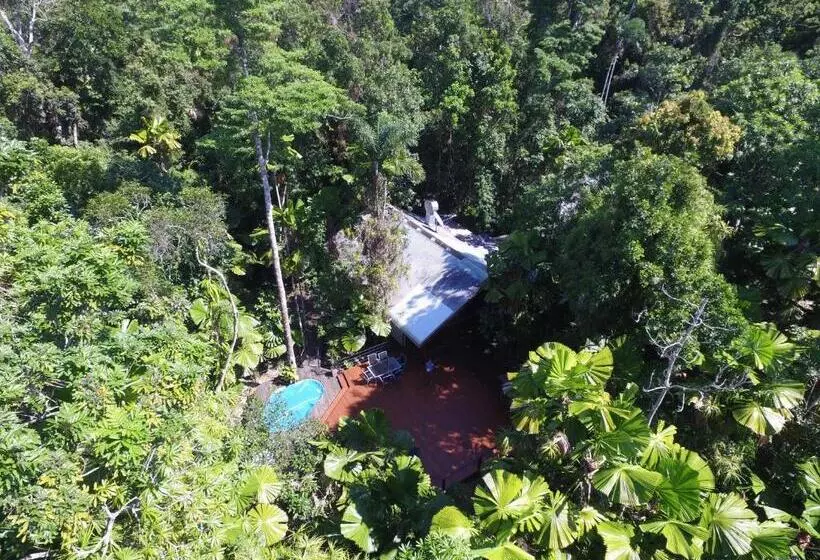 Отель Daintree Wilderness Lodge