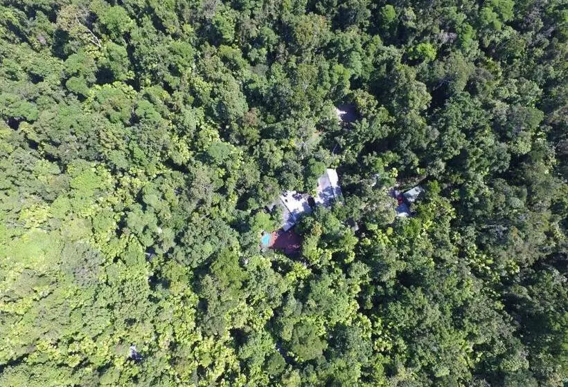 Отель Daintree Wilderness Lodge
