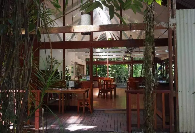 Отель Daintree Wilderness Lodge
