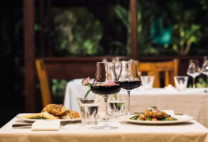 Отель Daintree Wilderness Lodge