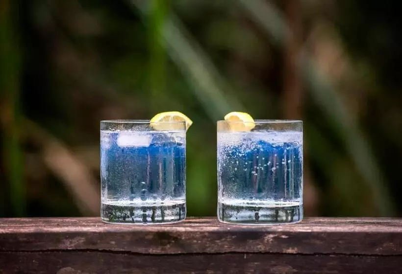 Отель Daintree Wilderness Lodge