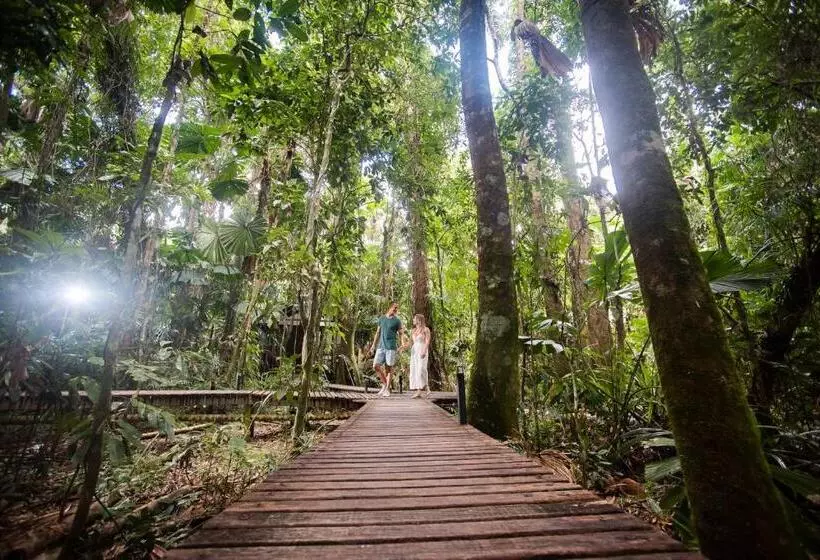 Отель Daintree Wilderness Lodge