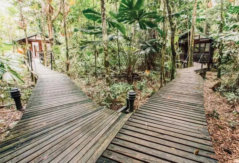 Отель Daintree Wilderness Lodge