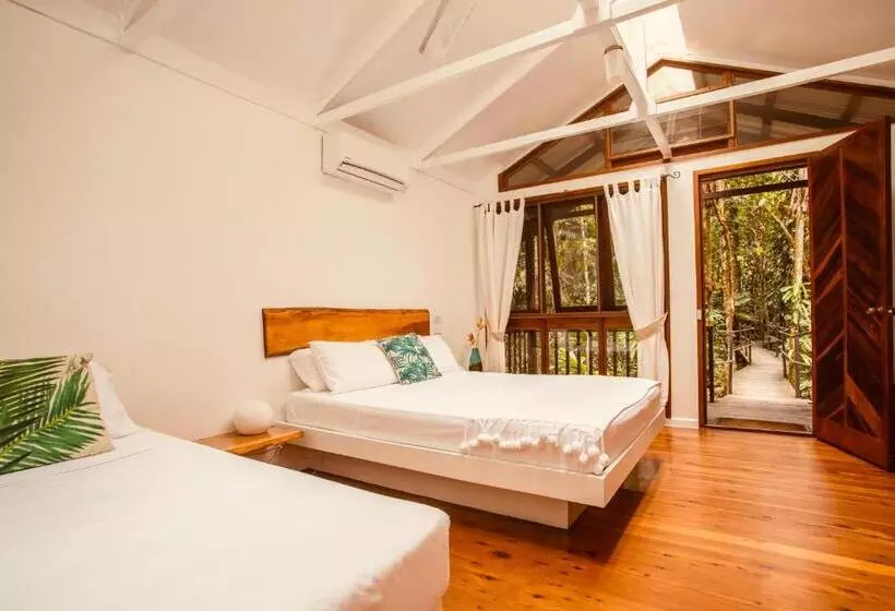 Отель Daintree Wilderness Lodge