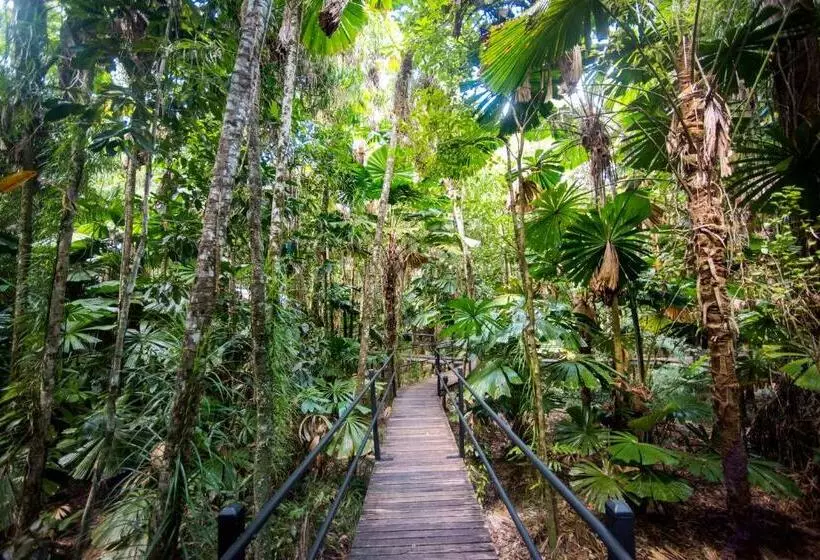 Отель Daintree Wilderness Lodge