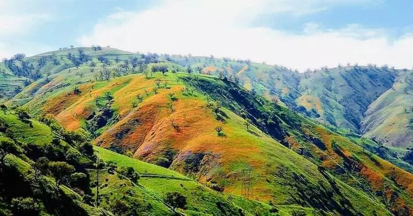 酒店 Holiday Inn Express & Suites Frazier Park, An Ihg