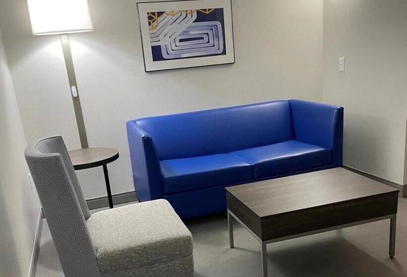 호텔 Holiday Inn Express & Suites   Tuscaloosa University, An Ihg