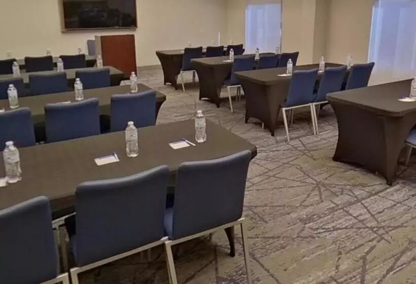 Otel Holiday Inn Express & Suites Tuscaloosa University, An Ihg