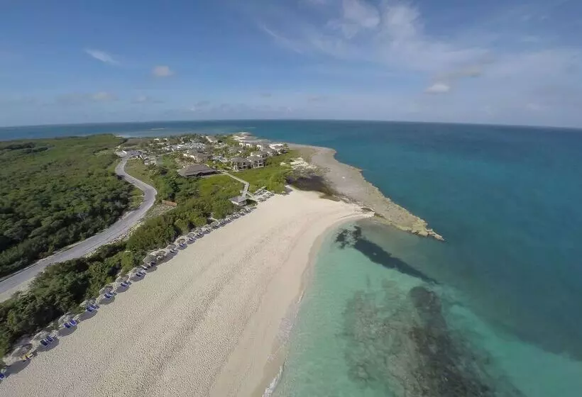 هتل Meliá Buenavista - Adults Only