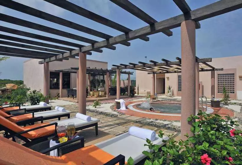 هتل Meliá Buenavista - Adults Only