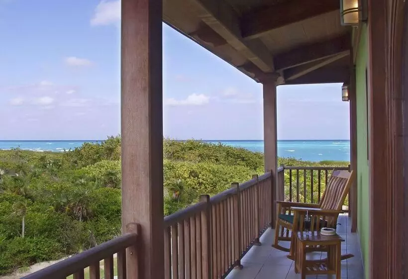 هتل Meliá Buenavista - Adults Only