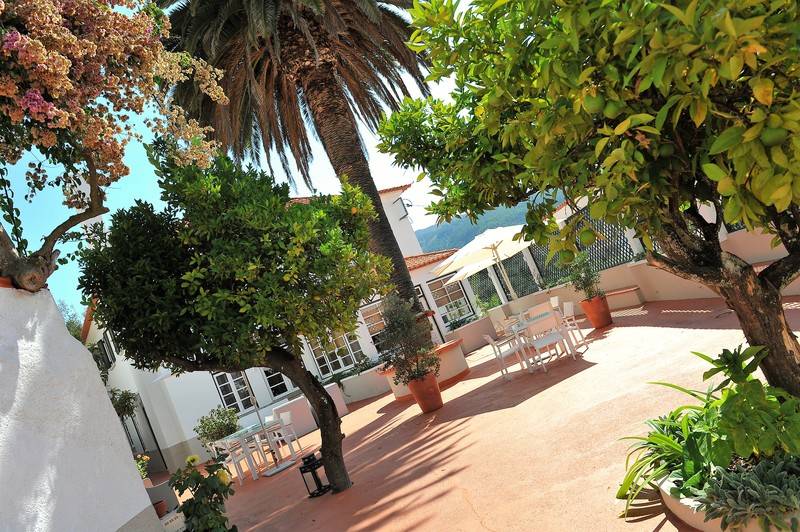 Отель Quinta Da Palmeira  Country House Retreat & Spa