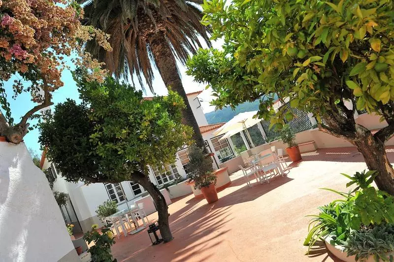 酒店 Quinta Da Palmeira  Country House Retreat & Spa