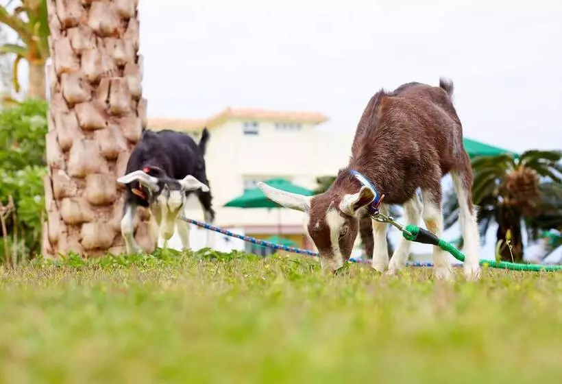 호텔 Aj Resort Island Ikeijima