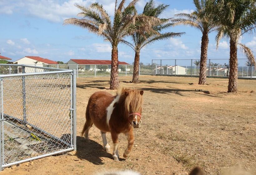 酒店 Aj Resort Island Ikeijima