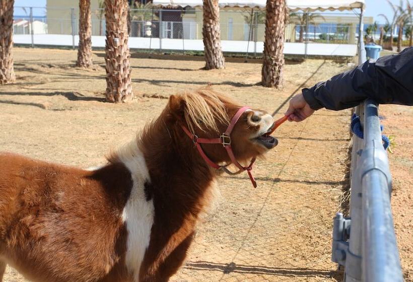 酒店 Aj Resort Island Ikeijima