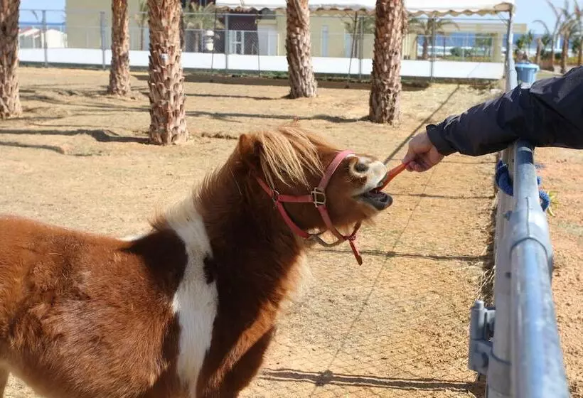 호텔 Aj Resort Island Ikeijima