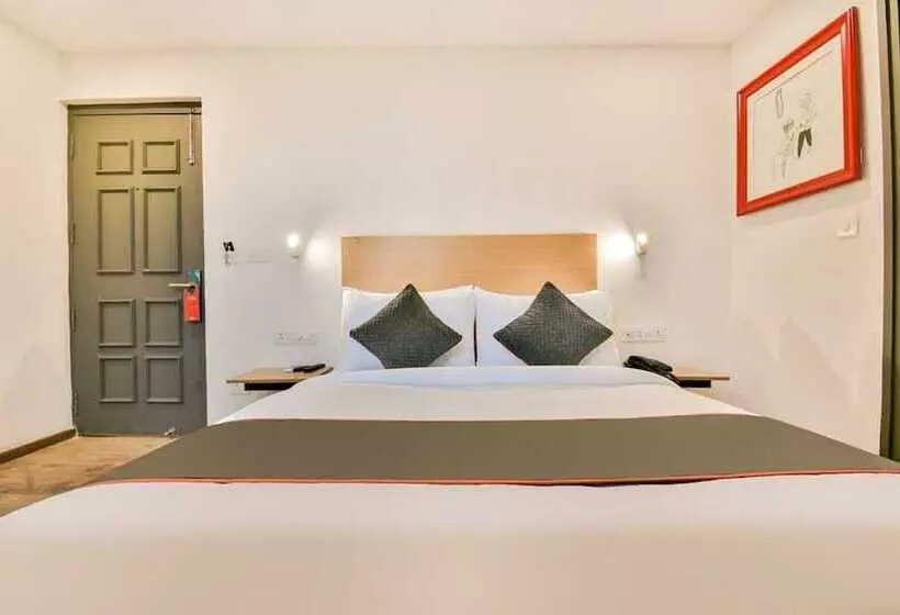 Hotel Broadway Udaipur