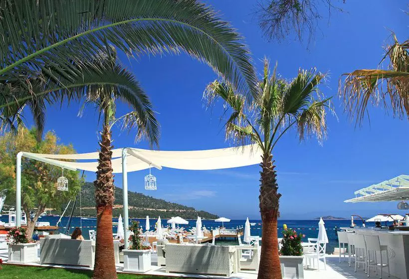 ホテル Grand Yazici Torba Beach