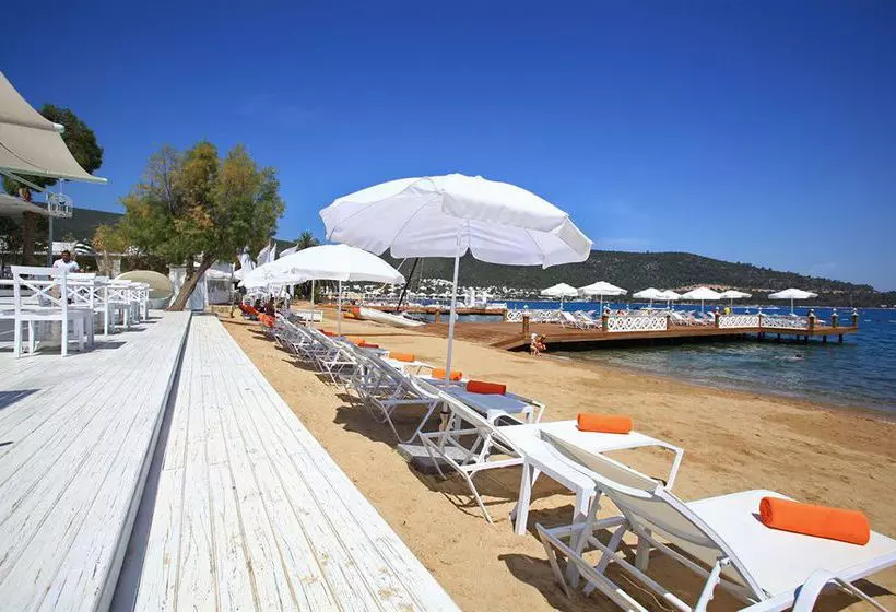 ホテル Grand Yazici Torba Beach
