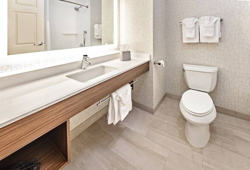Holiday Inn Express Hotel & Suites Lake Zurich Barrington, An Ihg