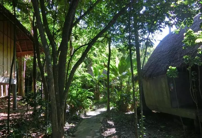 The Narima   Sha Plus