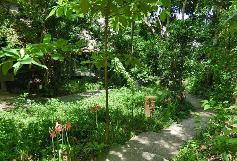 The Narima   Sha Plus