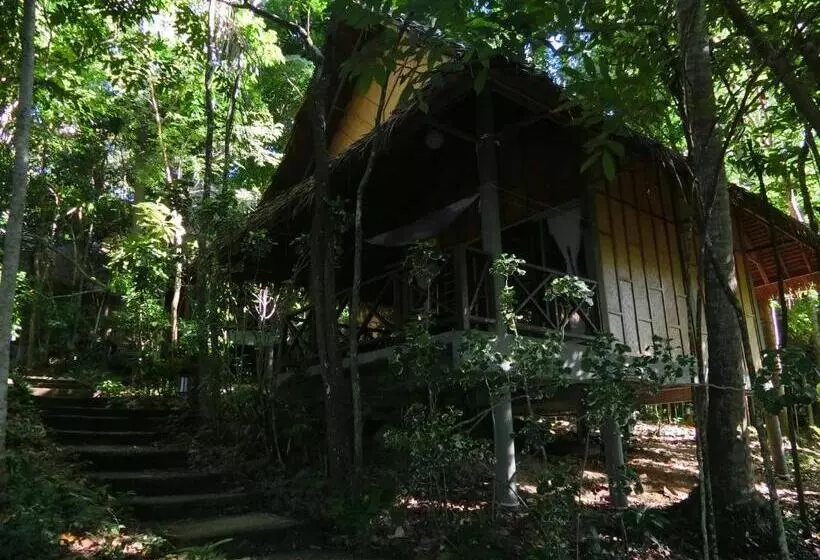 The Narima   Sha Plus