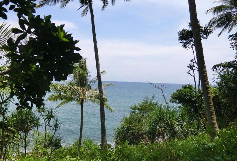 The Narima   Sha Plus