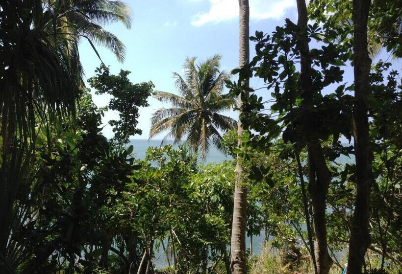 The Narima   Sha Plus