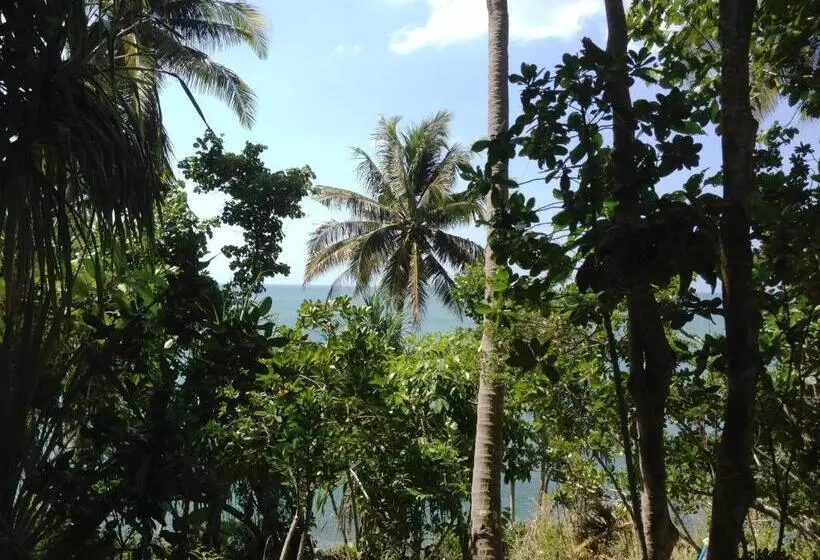 The Narima   Sha Plus