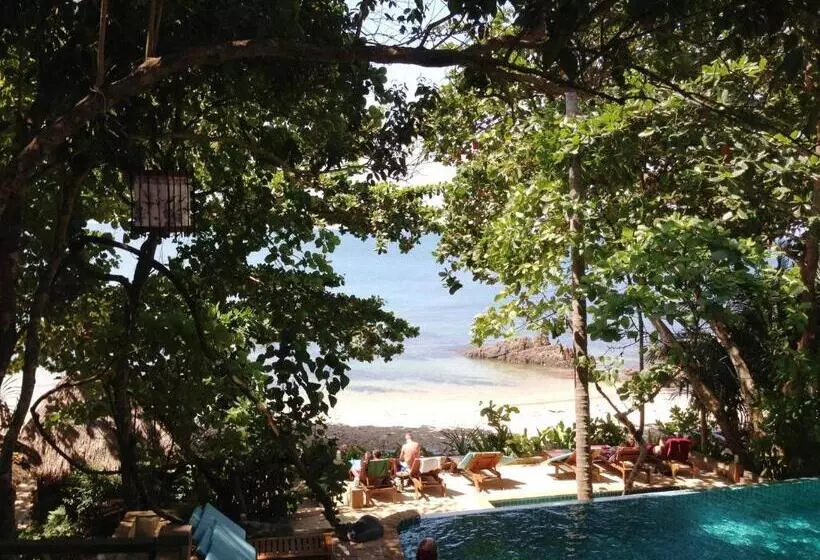 The Narima   Sha Plus