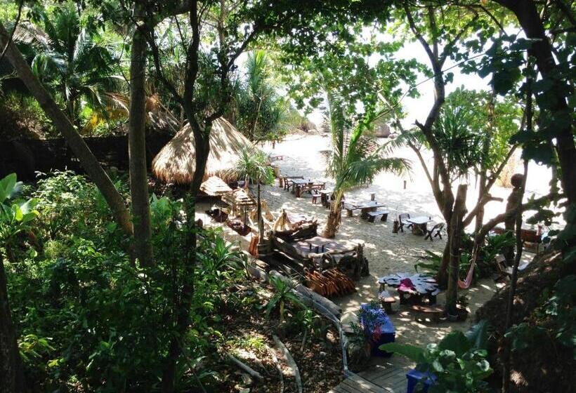 The Narima   Sha Plus