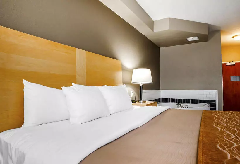 호텔 Comfort Inn Kansas City Airport