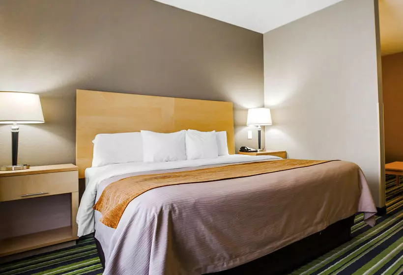 호텔 Comfort Inn Kansas City Airport