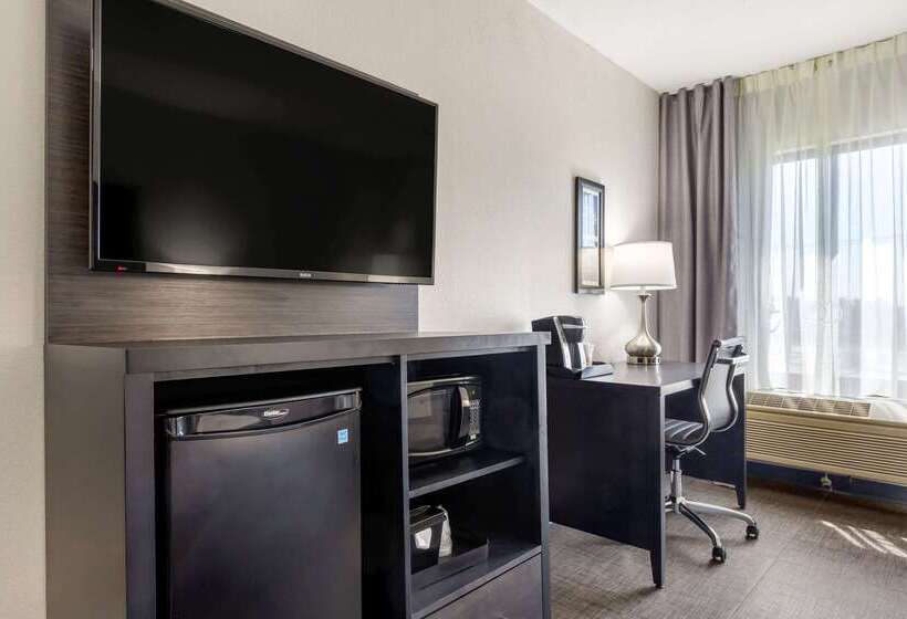 هتل Comfort Inn & Suites Greer  Greenville