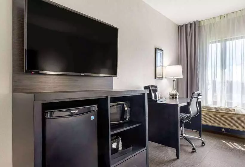 Отель Comfort Inn & Suites Greer  Greenville