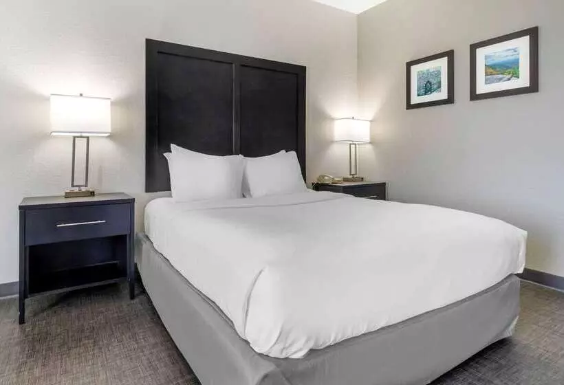 Отель Comfort Inn & Suites Greer  Greenville