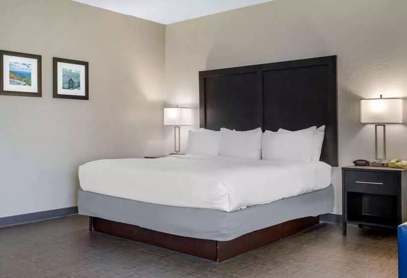 Отель Comfort Inn & Suites Greer  Greenville