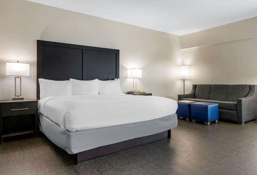 هتل Comfort Inn & Suites Greer  Greenville