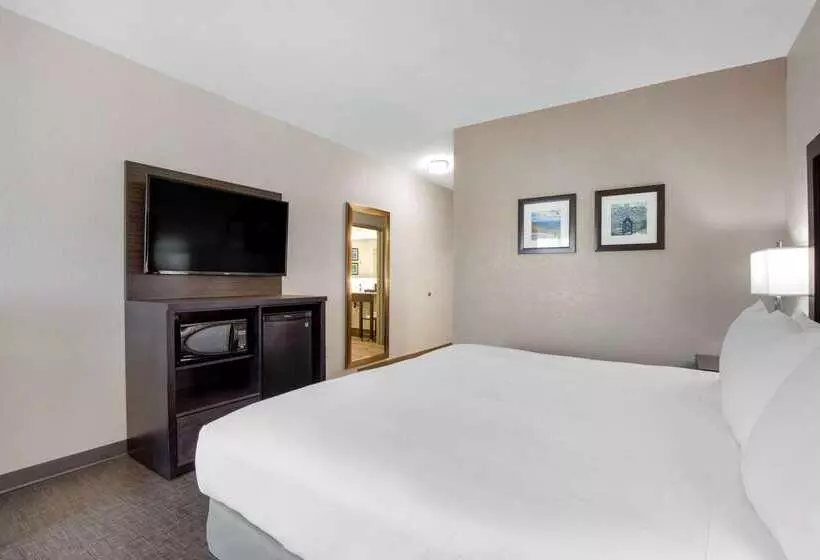 Отель Comfort Inn & Suites Greer  Greenville