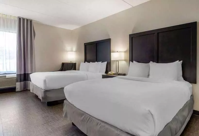 Отель Comfort Inn & Suites Greer  Greenville