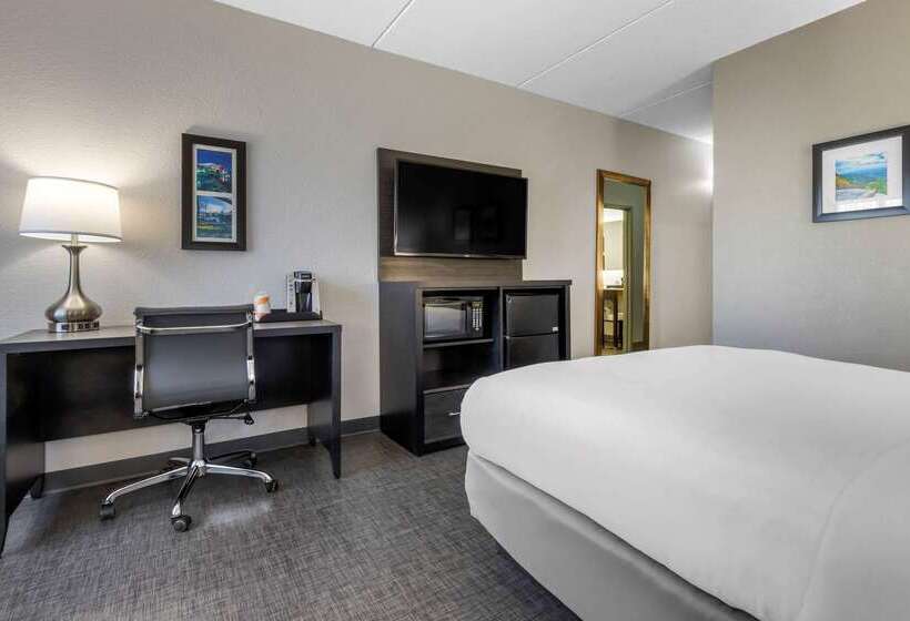 هتل Comfort Inn & Suites Greer  Greenville
