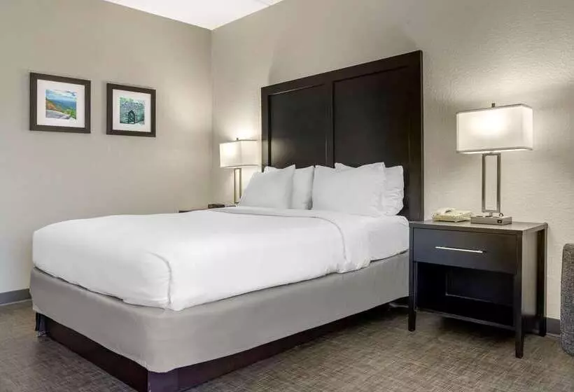 Отель Comfort Inn & Suites Greer  Greenville