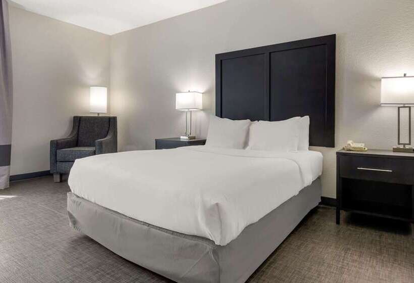 هتل Comfort Inn & Suites Greer  Greenville