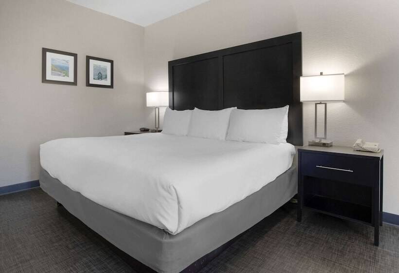 هتل Comfort Inn & Suites Greer  Greenville