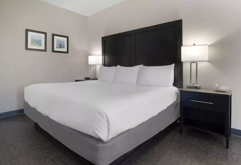Отель Comfort Inn & Suites Greer  Greenville