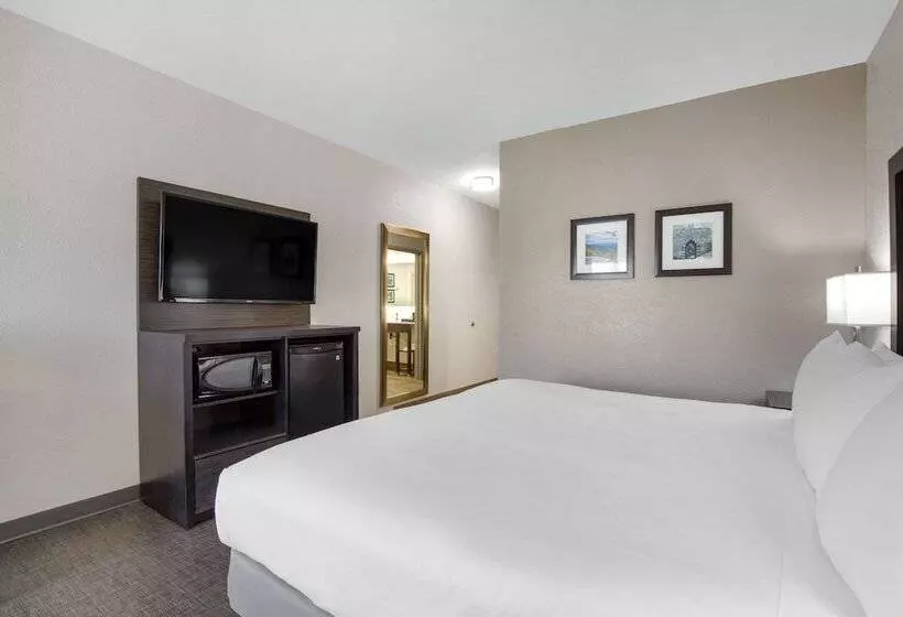 Отель Comfort Inn & Suites Greer  Greenville