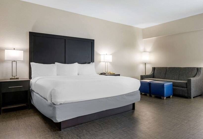 هتل Comfort Inn & Suites Greer  Greenville
